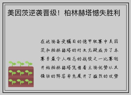美因茨逆袭晋级！柏林赫塔憾失胜利